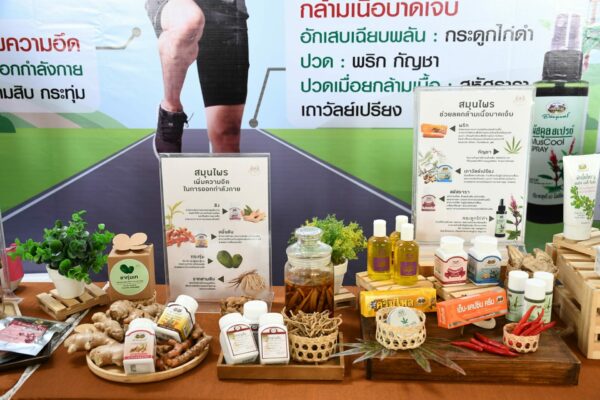 เจ้าพระยาอภัยภูเบศรบริการกัญชาแบบครบวงจร