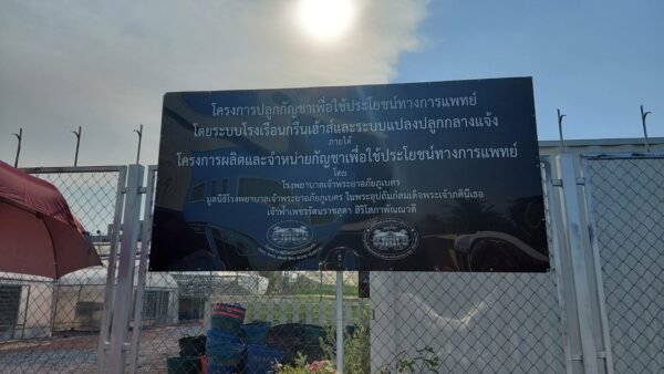 เจ้าพระยาอภัยภูเบศรบริการกัญชาแบบครบวงจร