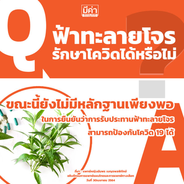 ฟ้าทะลายโจรรักษาโควิดได้หรือไม่