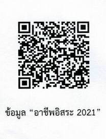 แนะ “อาชีพอิสระ 2021” ทางเลือกสุดปัง เพิ่มรายได้ช่วงโควิด – 19