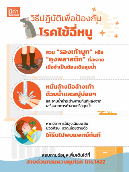 how to วิธีปฏิบัติเพื่อป้องกันโรคไข้ฉี่หนู