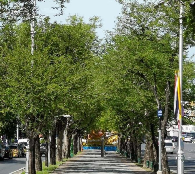 ที่ดินเหลือ กทม.ขอ ร่วมสร้างพื้นที่สีเขียว