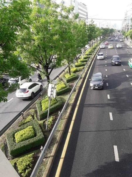 ที่ดินเหลือ กทม.ขอ ร่วมสร้างพื้นที่สีเขียว