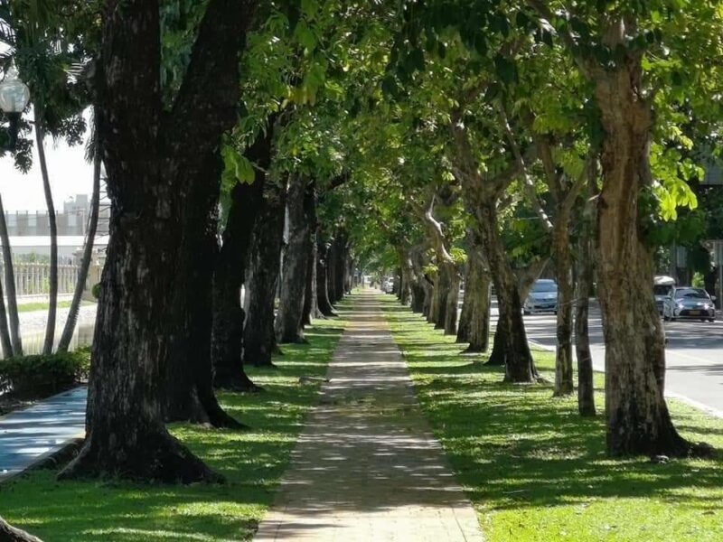 ที่ดินเหลือ กทม.ขอ ร่วมสร้างพื้นที่สีเขียว