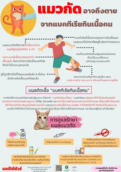 แพทย์ผิวหนังเตือน! แมวกัดอาจถึงตาย