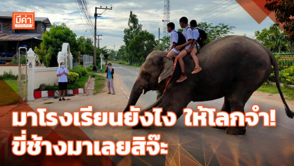 มาโรงเรียนยังไง ให้โลกจำ! ขี่ช้างมาเลยสิจ๊ะ มาโรงเรียนยังไง ให้โลกจำ! ขี่ช้างมาเลยสิจ๊ะ