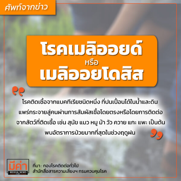 โรคเมลิออยด์ หรือเมลิออยโดสิส