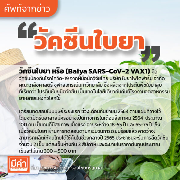วัคซีนใบยา คือ