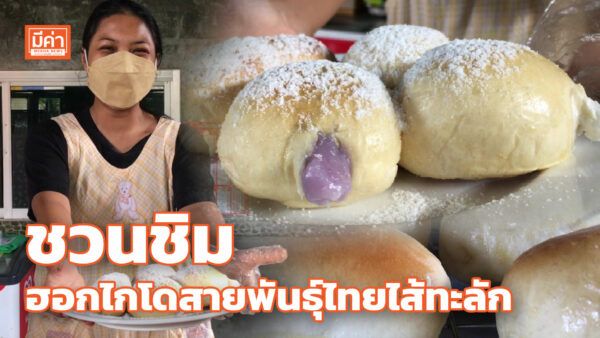 ชวนชิม ฮอกไกโดสายพันธุ์ไทยไส้ทะลัก ชวนชิม ฮอกไกโดสายพันธุ์ไทยไส้ทะลัก