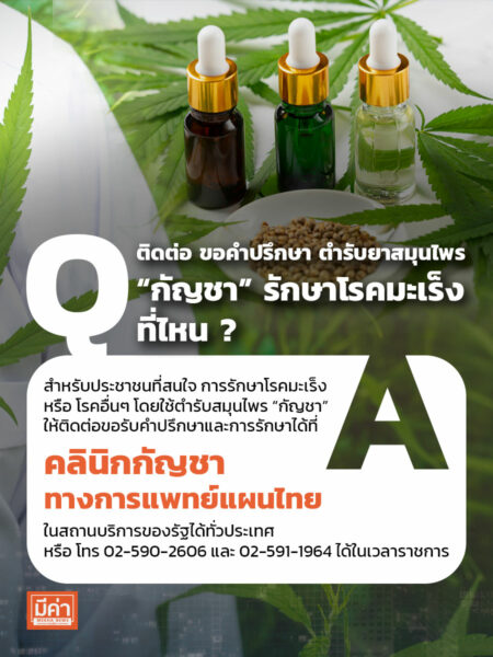 ติดต่อ ขอคำปรึกษา ตำรับยาสมุนไพร “กัญชา” รักษาโรคมะเร็ง ที่ไหน ?
