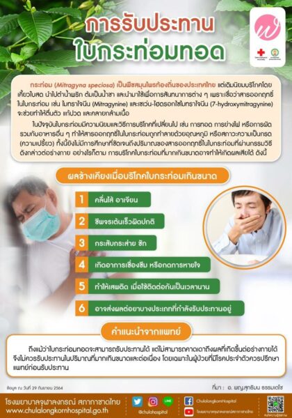 การรับประทานใบกระท่อมทอด