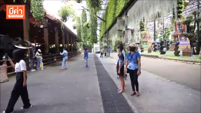 สวนนงนุชพัทยา เปิดโซนใหม่สุด UNSEEN รับ "พัทยามูฟออน" นทท.ฉีดวัคซีนครบ 2 เข็มเที่ยวฟรี! ถึง 15 พ.ย.