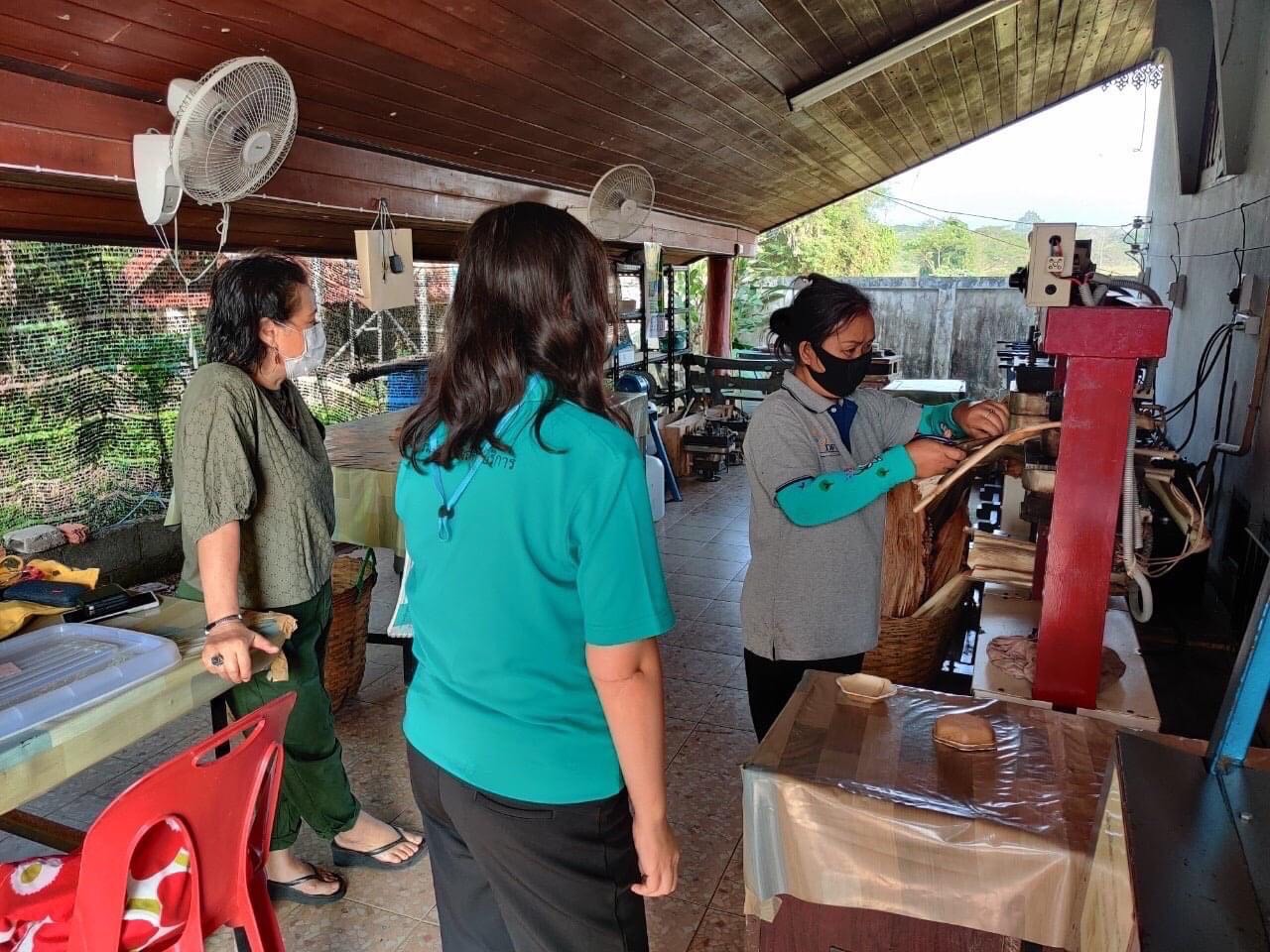 วศ. เสริมคุณภาพภาชนะสัมผัสอาหาร “กาบหมาก” ยกระดับผลิตภัณฑ์จากธรรมชาติตามแนวทางเศรษฐกิจหมุนเวียน