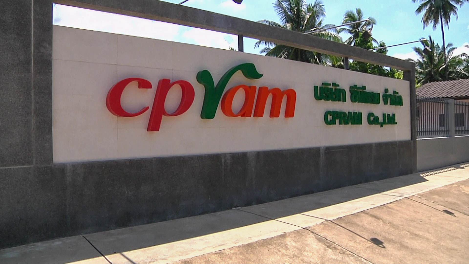 บริษัท ซีพีแรม จำกัด (CPRAM) ร่วมกับชาวสุราษฎร์ธานี ปล่อยลูกพันธุ์ปูม้ารวม 2 แสนตัว ขับเคลื่อนยุทธศาสตร์ความมั่นคงทางอาหารตามแนวทาง FOOD 3S ขององค์กร