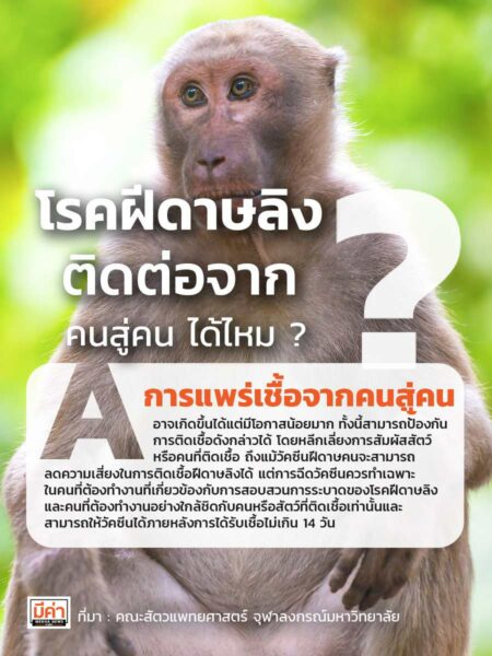 ฝีดาษลิง ติดต่อสู่คน มั้ย