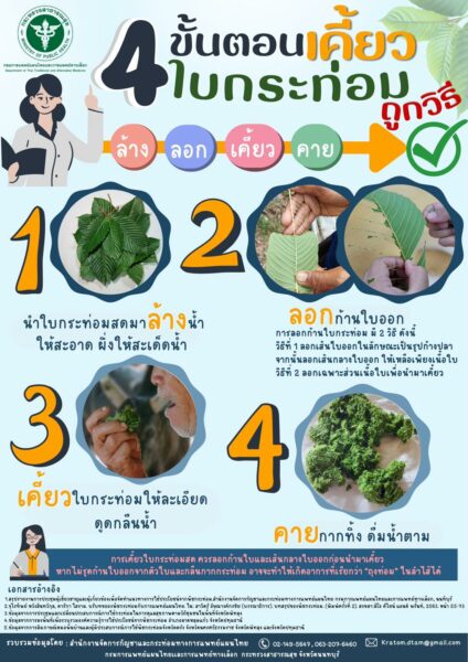 เคี้ยวใบกระท่อม
