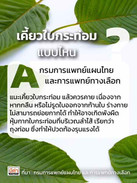 เคี้ยวใบกระท่อม