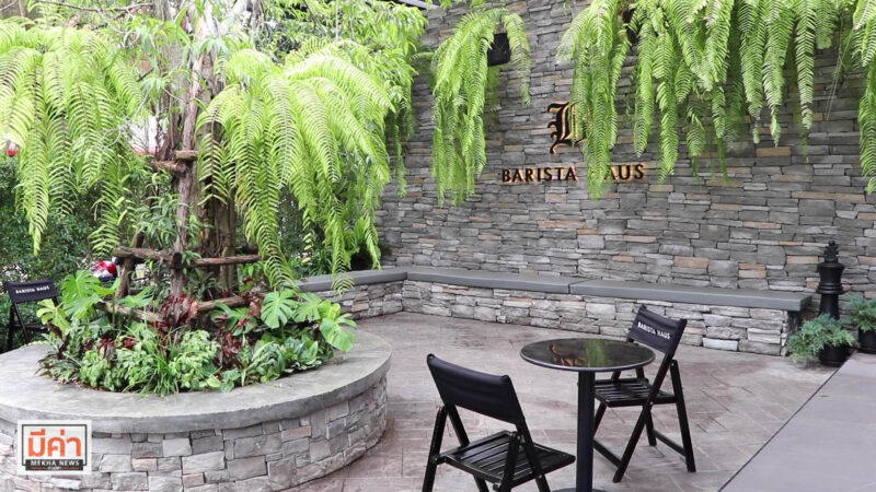 คาเฟ่เปิดใหม่สุราษฎร์ barista haus coffee