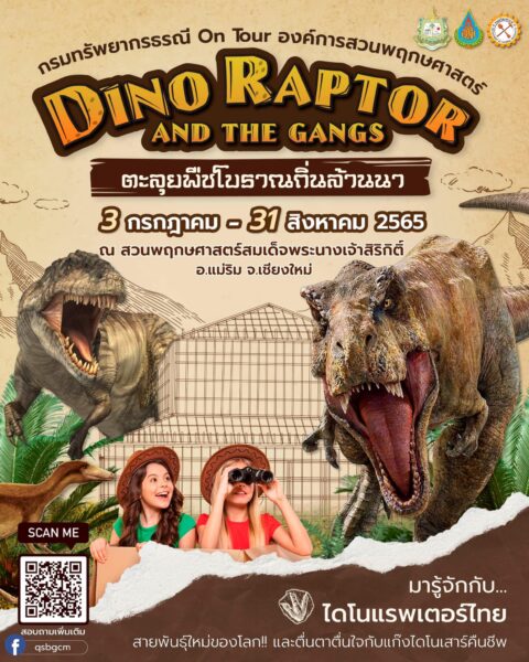 DINO RAPTOR AND THE GANGS