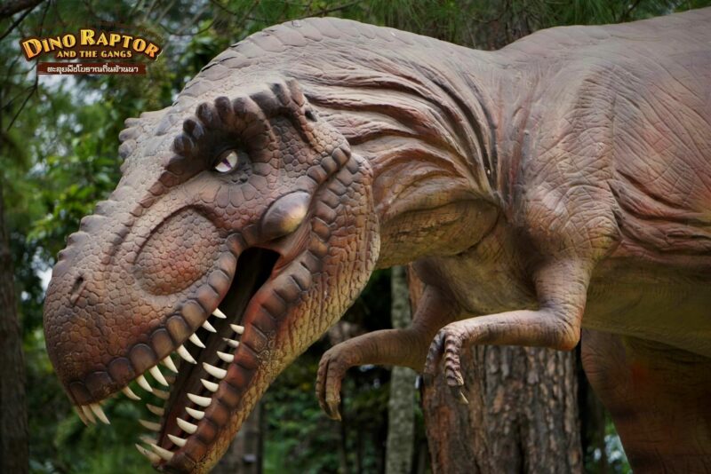 DINO RAPTOR AND THE GANGS