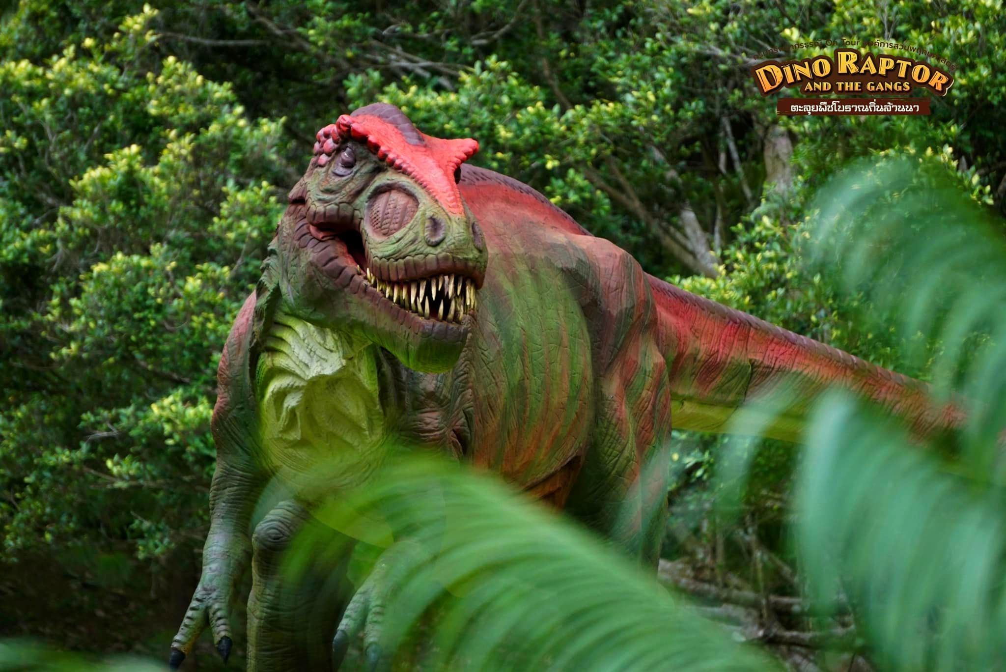 DINO RAPTOR AND THE GANGS
