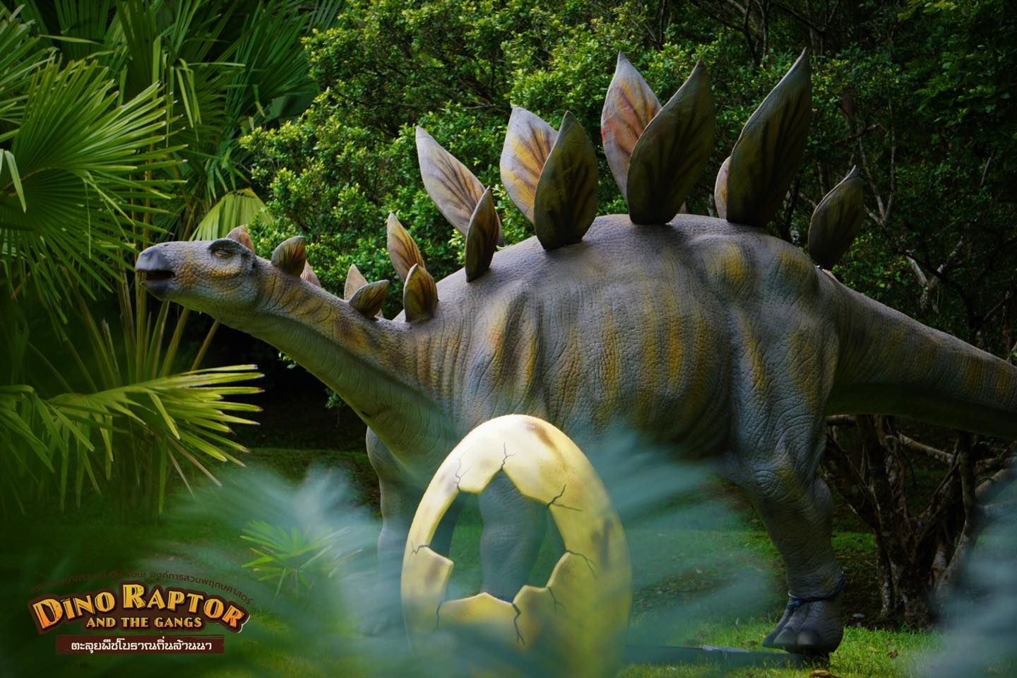 DINO RAPTOR AND THE GANGS