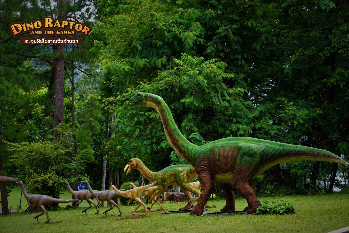 DINO RAPTOR AND THE GANGS
