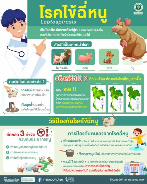 โรคฉี่หนู