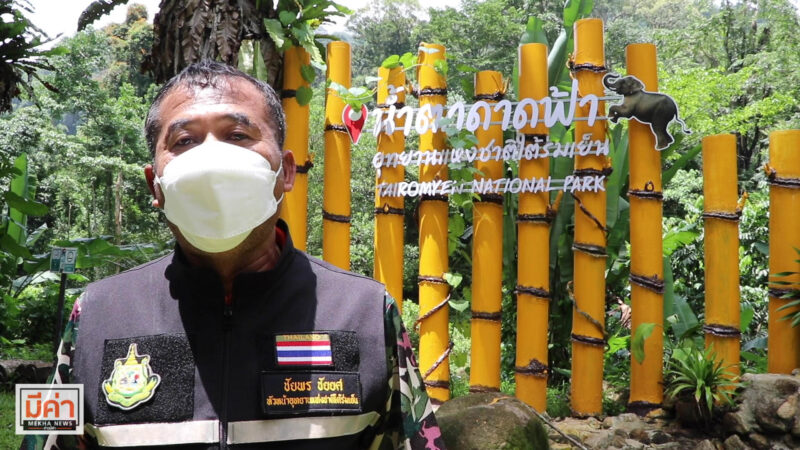 น้ำตกดาดฟ้า สุราษฎร์