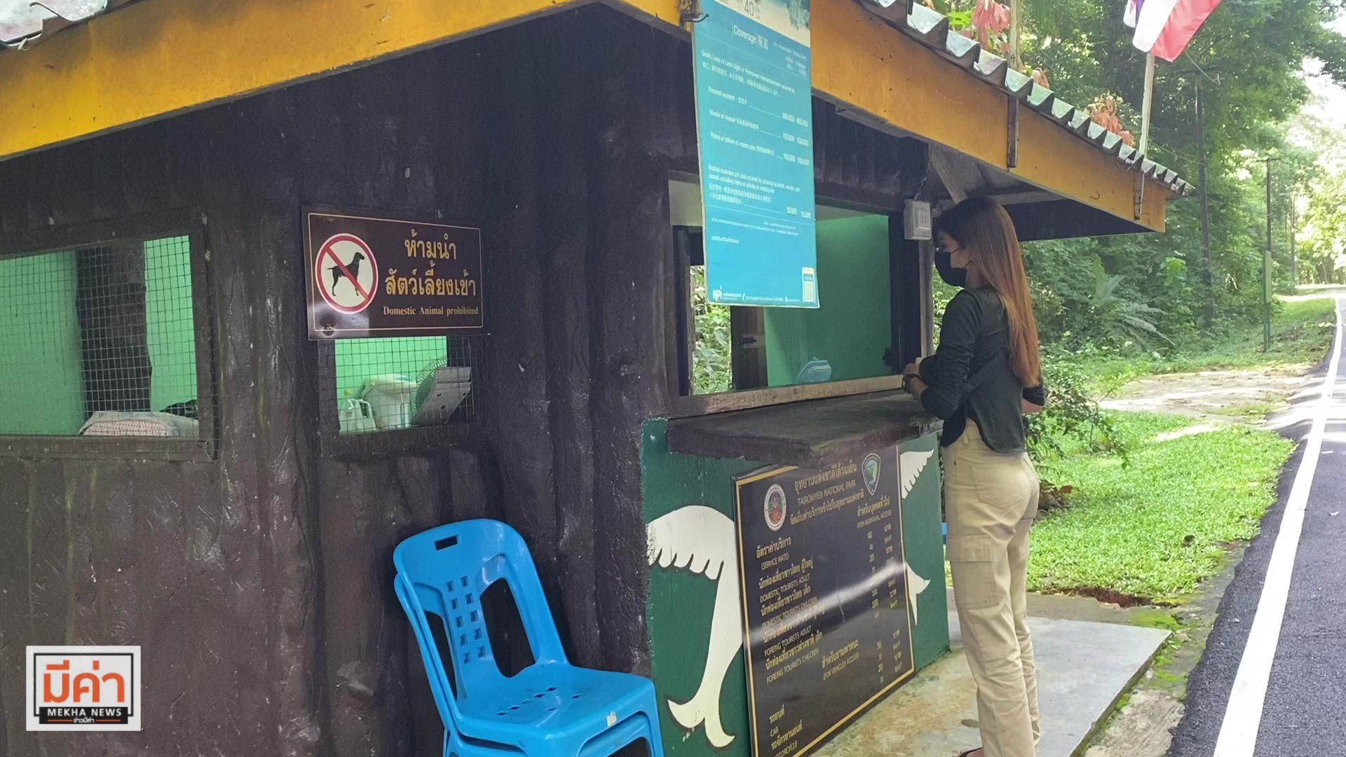 น้ำตกดาดฟ้า สุราษฎร์