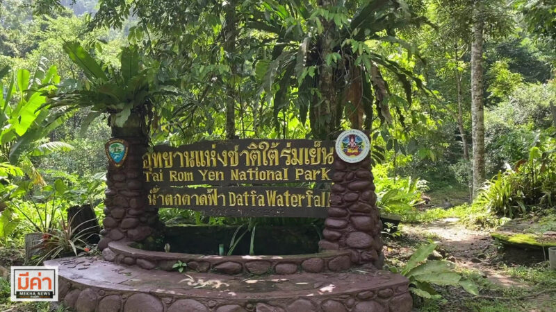 น้ำตกดาดฟ้า สุราษฎร์