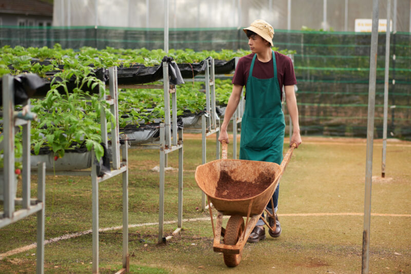 ทำงานเกษตร ที่อิสราเอล TIC ครั้งที่ 17 ต้องมีคุณสมบัติยังไง