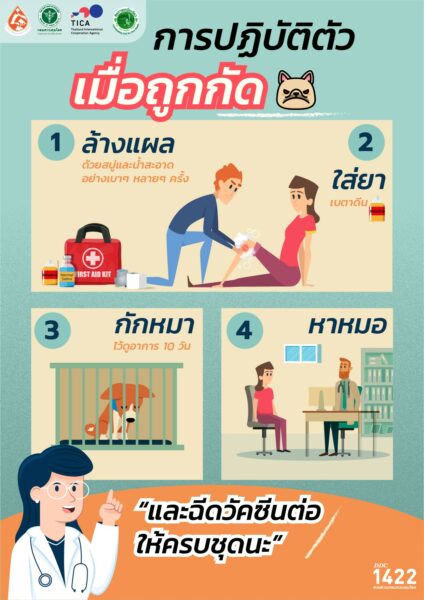 วิธีปฏิบัติตัว เมื่อถูกกัด หรือข่วนจากสุนัขและแมว