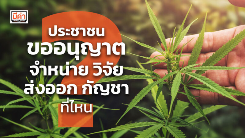 ประชาชน ขออนุญาต จำหน่าย วิจัย ส่งออก กัญชา ที่ไหน ? ประชาชน ขออนุญาต จำหน่าย วิจัย ส่งออก กัญชา ที่ไหน ?