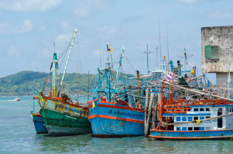 How To ลงทะเบียน ออกใบอนุญาตเรือประมงพื้นบ้าน How To ลงทะเบียน ออกใบอนุญาตเรือประมงพื้นบ้าน
