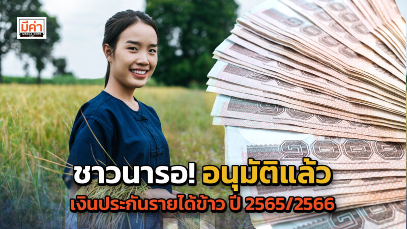 โครงการประกันรายได้เกษตรกรผู้ปลูกข้าว พร้อมมาตรการคู่ขนาน ปีการผลิต 2565/2566 ครม.อนุมัติแล้ว! วงเงิน 81,266 ล้านบาท ชาวนารอ! อนุมัติแล้ว เงินประกันรายได้ข้าว ปี 2565/2566