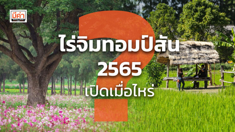ไร่จิมทอมป์สัน 2565 เปิดเมื่อไหร่ ? ไร่จิมทอมป์สัน 2565 เปิดเมื่อไหร่ ?