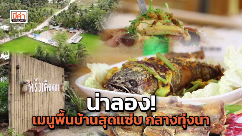 ชวนเช็คอิน “ครัวเคียงนา” จ.สุราษฎร์ฯ วิวดี กลางทุ่งนา ต่อยอดเกษตรพอเพียง ปรุงเมนูพื้นบ้านสุดแซ่บ น่าลอง! เมนูพื้นบ้านสุดแซ่บ กลางทุ่งนา