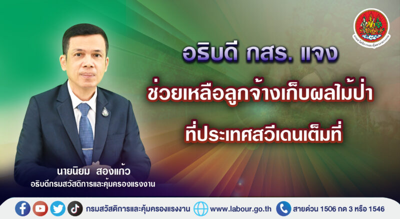 ลูกจ้างเก็บผลไม้ป่า ประเทศสวีเดน ถูกหลอกจ้างงาน