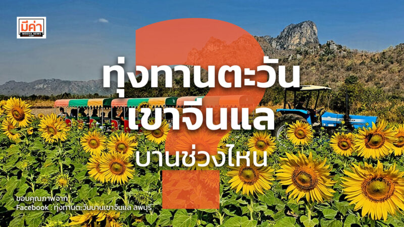 ทุ่งทานตะวันเขาจีนแล บานช่วงไหน ?