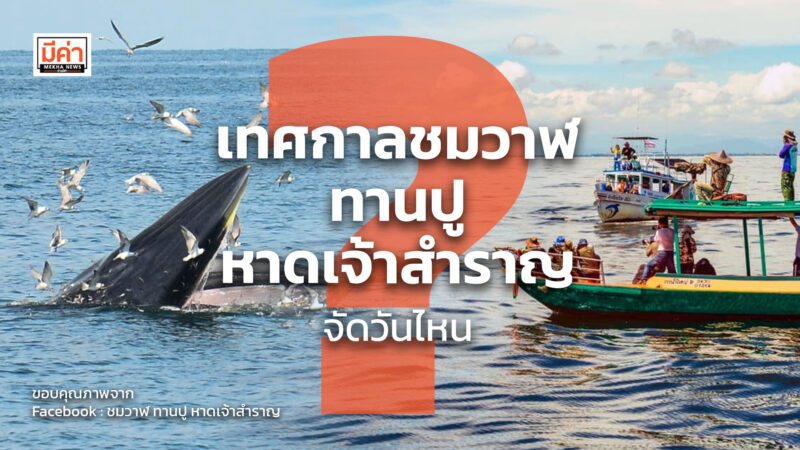 เทศกาลชมวาฬ ทานปู หาดเจ้าสำราญ จัดวันไหน ?