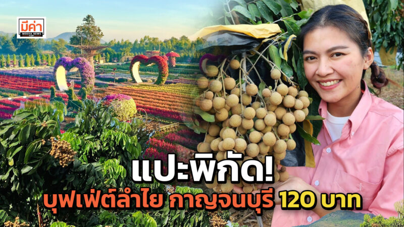 บุฟเฟ่ต์ลำไย กาญจนบุรี ราคาสุดคุ้ม 120 บาท เที่ยวได้ถึงวันไหน เช็กที่นี่!