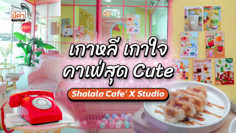 พาสเทลไม่ไหว! ชวนเช็กอิน Shalala Cafe’ X Studio คาเฟ่เกาหลี น่ารัก สไตล์สตูดิโอ มุมถ่ายรูปเพียบ