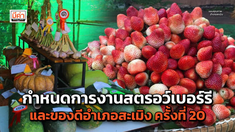 กำหนดการ งานสตรอว์เบอร์รีและของดีอำเภอสะเมิง ครั้งที่ 20 มีกิจกรรมอะไรน่าสนใจบ้าง เช็กที่นี่!