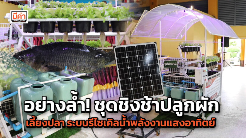 นวัตกรรมการอาชีพไชยา ผุดไอเดียประดิษฐ์ “ชุดชิงช้าปลูกผักเลี้ยงปลาระบบรีไซเคิลน้ำพลังงานแสงอาทิตย์” ตอบโจทย์ สังคมเมือง