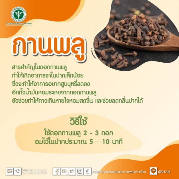 กานพลู ลดการสูบบุหรี่