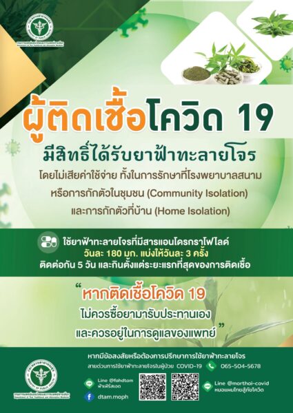 ยาฟ้าทะลายโจร ใช้อย่างไรให้ปลอดภัย