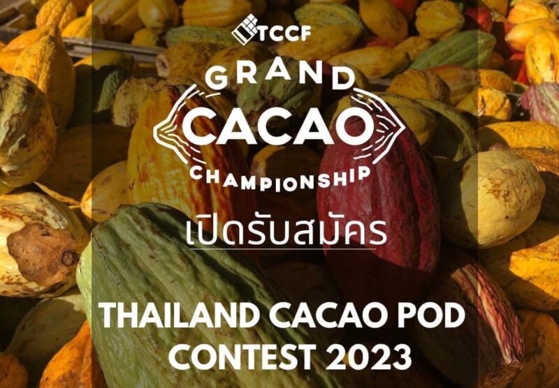 ลิงค์สมัคร Thailand Cacao Pod Contest 2023 ส่องกติกา เงินรางวัลที่นี่!