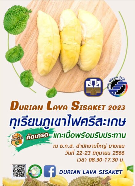 ชวนชิม ชอปทุเรียนภูเขาไฟศรีสะเกษ 22-23 ก.ค.
