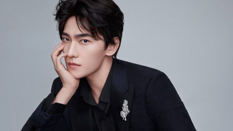 ประวัติ หยาง หยาง ซุปตาร์ชาวจีน